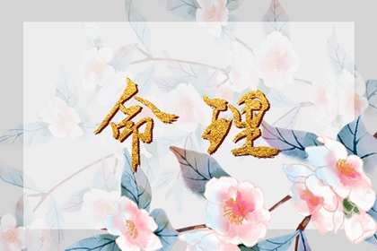 日历黄道吉日年|黄历2026年黄道吉日|黄历2026黄道吉日查询