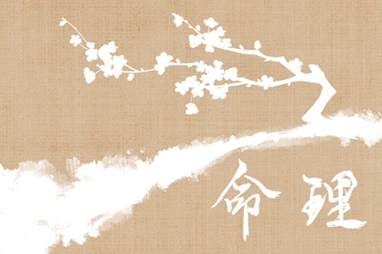 中国万年历|万年历老黄历2026|老黄历(万年历)